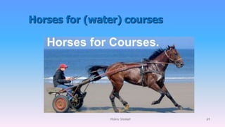 Horses for (water) courses
Molino Stewart 24
 