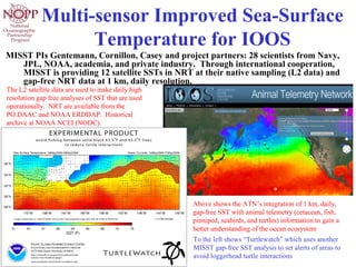 Multi-sensor Improved Sea-Surface
Temperature for IOOS
MISST PIs Gentemann, Cornillon, Casey and project partners: 28 scientists from Navy,
JPL, NOAA, academia, and private industry. Through international cooperation,
MISST is providing 12 satellite SSTs in NRT at their native sampling (L2 data) and
gap-free NRT data at 1 km, daily resolution.
The L2 satellite data are used to make daily high
resolution gap free analyses of SST that are used
operationally. NRT are available from the
PO.DAAC and NOAA ERDDAP. Historical
archive at NOAA NCEI (NODC).
Above shows the ATN’s integration of 1 km, daily,
gap-free SST with animal telemetry (cetacean, fish,
pinniped, seabirds, and turtles) information to gain a
better understanding of the ocean ecosystem
To the left shows “Turtlewatch” which uses another
MISST gap-free SST analysis to set alerts of areas to
avoid loggerhead turtle interactions
 