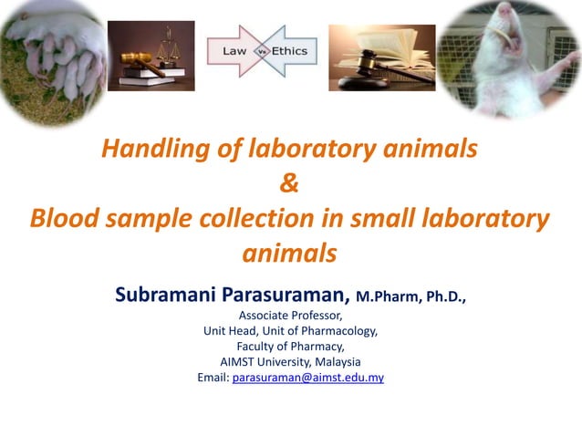 Blood sample collection in lab. animals | PPTX