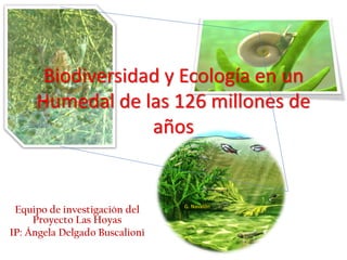 G. Navalón
Equipo de investigación del
Proyecto Las Hoyas
IP: Ángela Delgado Buscalioni
Biodiversidad y Ecología en un
Humedal de las 126 millones de
años
 