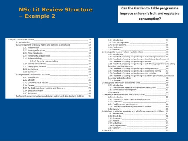 2018 Literature Review Writing For Dietetics