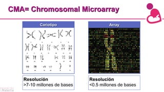 Diagnóstico prenatal molecular (Arrays-CGH). En alto riesgo, ¿cuándo ...