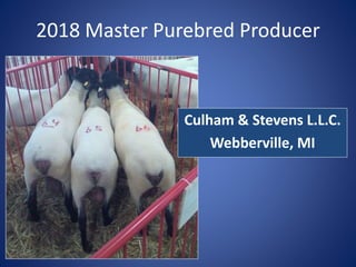 2018 Master Purebred Producer
Culham & Stevens L.L.C.
Webberville, MI
 