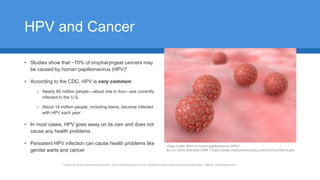 HPV and Cancer
• Studies show that ~70% of oropharyngeal cancers may
be caused by human papillomavirus (HPV)*
• According to the CDC, HPV is very common:
o Nearly 80 million people—about one in four—are currently
infected in the U.S.
o About 14 million people, including teens, become infected
with HPV each year
• In most cases, HPV goes away on its own and does not
cause any health problems
• Persistent HPV infection can cause health problems like
genital warts and cancer
Image credit: What is human papillomavirus (HPV)?
By Lori Smith BSN MSN CRNP | https://www.medicalnewstoday.com/articles/246670.php
* Centers for Disease Control and Prevention - HPV and Oropharyngeal Cancer. Available at: https://www.cdc.gov/cancer/hpv/basic_info/hpv_oropharyngeal.htm
 