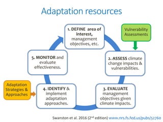Climate Change impacts and Wetland Vulnerability | PPTX