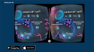 Molecule	VR
 