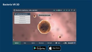 Bacteria	VR	3D
 