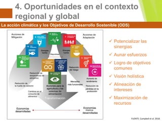 Agricultura Sostenible y Cambio Climático | PPTX