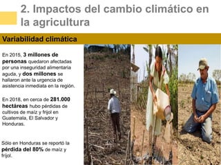Agricultura Sostenible y Cambio Climático