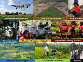 Agricultura Sostenible y Cambio Climático