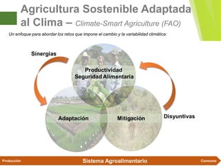Agricultura Sostenible y Cambio Climático