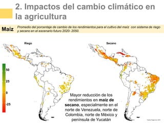 Agricultura Sostenible y Cambio Climático