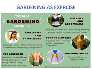 GARDENING AS EXERCISE
 