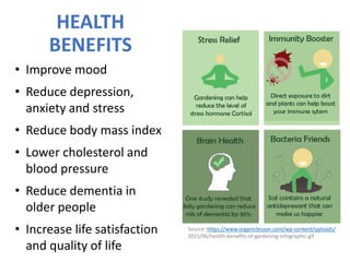 HEALTH
BENEFITS
• Improve mood
• Reduce depression,
anxiety and stress
• Reduce body mass index
• Lower cholesterol and
blood pressure
• Reduce dementia in
older people
• Increase life satisfaction
and quality of life
Source: https://www.organiclesson.com/wp-content/uploads/
2015/06/health-benefits-of-gardening-infographic.gif
 