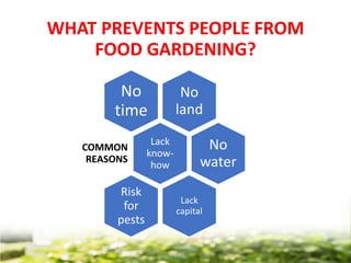 WHAT PREVENTS PEOPLE FROM
FOOD GARDENING?
No
land
No
time
Lack
know-
how
COMMON
REASONS
No
water
Lack
capital
Risk
for
pests
 