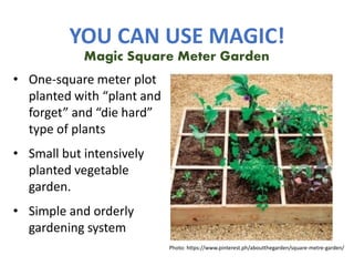 YOU CAN USE MAGIC!
• One-square meter plot
planted with “plant and
forget” and “die hard”
type of plants
• Small but intensively
planted vegetable
garden.
• Simple and orderly
gardening system
Magic Square Meter Garden
Photo: https://www.pinterest.ph/aboutthegarden/square-metre-garden/
 