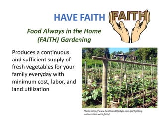 HAVE FAITH
Food Always in the Home
(FAITH) Gardening
Produces a continuous
and sufficient supply of
fresh vegetables for your
family everyday with
minimum cost, labor, and
land utilization
Photo: http://www.healthandlifestyle.com.ph/fighting-
malnutrition-with-faith/
 
