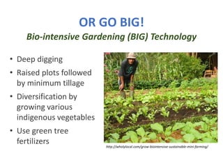 OR GO BIG!
Bio-intensive Gardening (BIG) Technology
• Deep digging
• Raised plots followed
by minimum tillage
• Diversification by
growing various
indigenous vegetables
• Use green tree
fertilizers http://wholylocal.com/grow-biointensive-sustainable-mini-farming/
 