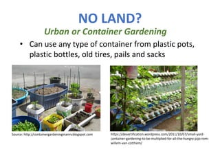 NO LAND?
Urban or Container Gardening
Source: http://containergardeninginanrv.blogspot.com
• Can use any type of container from plastic pots,
plastic bottles, old tires, pails and sacks
https://desertification.wordpress.com/2011/10/07/small-yard-
container-gardening-to-be-multiplied-for-all-the-hungry-jojo-rom-
willem-van-cotthem/
 