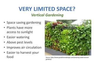 VERY LIMITED SPACE?
Vertical Gardening
Source: http://www.goodshomedesign.com/amazing-salad-vertical-
gardens/
• Space saving gardening
• Plants have more
access to sunlight
• Easier watering
• Above pest levels
• Improves air circulation
• Easier to harvest your
food
 