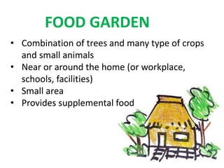 FOOD GARDEN
• Combination of trees and many type of crops
and small animals
• Near or around the home (or workplace,
schools, facilities)
• Small area
• Provides supplemental food
 