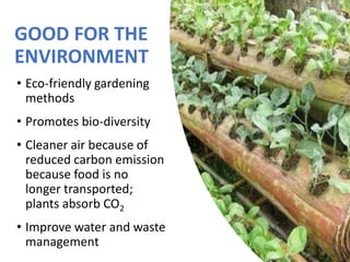 GOOD FOR THE
ENVIRONMENT
• Eco-friendly gardening
methods
• Promotes bio-diversity
• Cleaner air because of
reduced carbon emission
because food is no
longer transported;
plants absorb CO2
• Improve water and waste
management
 