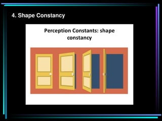Shape Constancy Grade R Reporting about the Theory of Perception and Its functions | PPT
