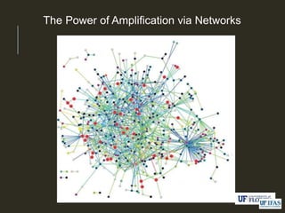 The Power of Amplification via Networks
 