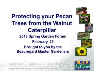 Protecting your Pecan
Trees from the Walnut
Caterpillar
2018 Spring Garden Forum
February, 23
Brought to you by the
Beauregard Master Gardeners
 