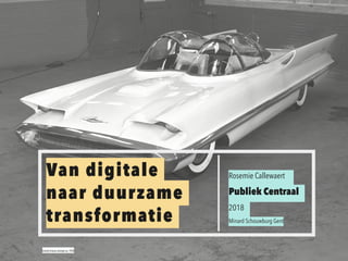 Lincoln Futura concept car, 1955
Rosemie Callewaert
Publiek Centraal
2018
Minard Schouwburg Gent
Van digitale  
naar duurzame
transformatie
 