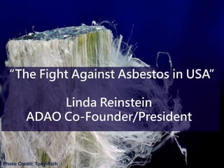 “The Fight Against Asbestos in USA”
Linda Reinstein
ADAO Co-Founder/President
Photo Credit: Tony Rich
 
