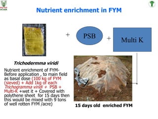 Fym Well Rotted 2018 ridge, bitter gourd, leafy veg seed production advances | PPTX
