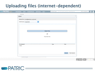 An introduction to PATRIC and its use in phage annotation | PPTX