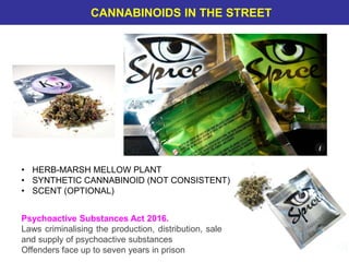• HERB-MARSH MELLOW PLANT
• SYNTHETIC CANNABINOID (NOT CONSISTENT)
• SCENT (OPTIONAL)
• NOT FOR HUMAN CONSUMPTION LABEL
Psychoactive Substances Act 2016.
Laws criminalising the production, distribution, sale
and supply of psychoactive substances
Offenders face up to seven years in prison
CANNABINOIDS IN THE STREET
 