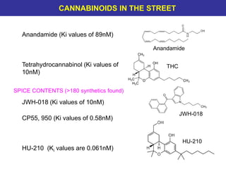 Anandamide (Ki values of 89nM)
Tetrahydrocannabinol (Ki values of
10nM)
JWH-018 (Ki values of 10nM)
CP55, 950 (Ki values of 0.58nM)
HU-210 (Ki values are 0.061nM)
Anandamide
JWH-018
HU-210
THC
SPICE CONTENTS (>180 synthetics found)
CANNABINOIDS IN THE STREET
 