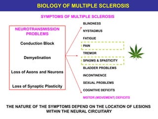 UCL-INSTITUTE OF NEUROLOGY
Queen Square BIOLOGY OF MULTIPLE SCLEROSIS
SYMPTOMS OF MULTIPLE SCLEROSIS
BLINDNESS
NYSTAGMUS
FATIGUE
PAIN
TREMOR
SPASMS & SPASTICITY
BLADDER PROBLEMS
INCONTINENCE
SEXUAL PROBLEMS
COGNITIVE DEFICITS
MOTOR (MOVEMENT) DEFICITS
NEUROTRANSMISSION
PROBLEMS
Conduction Block
Demyelination
Loss of Axons and Neurons
Loss of Synaptic Plasticity
THE NATURE OF THE SYMPTOMS DEPEND ON THE LOCATION OF LESIONS
WITHIN THE NEURAL CIRCUITARY
 
