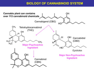 Cannabinol
(CBN)
Cannabigerol (CBG)
Cannabidiol
(CBD)
Epidiolex
Tetrahydrocannabinol
(THC)
Cannabis plant can contains
over 113 cannabinoid chemicals
Major Psychoactive
Ingredient
Major Non-Psychoactive
Ingredient
BIOLOGY OF CANNABINOID SYSTEM
 