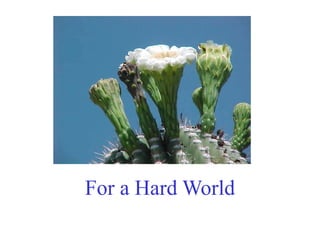 For a Hard World
 