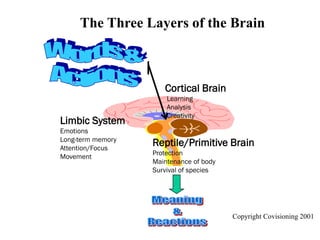 The Three Layers of the Brain
Limbic System
Emotions
Long-term memory
Attention/Focus
Movement
Cortical Brain
Learning
Analysis
Creativity
Reptile/Primitive Brain
Protection
Maintenance of body
Survival of species
Copyright Covisioning 2001
 