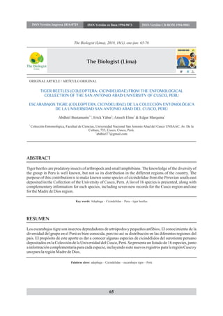 ORIGINAL ARTICLE / ARTÍCULO ORIGINAL
TIGER BEETLES (COLEOPTERA: CICINDELIDAE) FROM THE ENTOMOLOGICAL
COLLECTION OF THE SAN ANTONIO ABAD UNIVERSITY OF CUSCO, PERU
ESCARABAJOS TIGRE (COLEOPTERA: CICINDELIDAE) DE LA COLECCIÓN ENTOMOLÓGICA
DE LA UNIVERSIDAD SAN ANTONIO ABAD DEL CUSCO, PERÚ
1
Colección Entomológica, Facultad de Ciencias, Universidad Nacional San Antonio Abad del Cusco UNSAAC. Av. De la
Cultura, 733, Cusco, Cusco, Perú.
2
abdhiel77@gmail.com
1,2 1 1 1
Abdhiel Bustamante ; Erick Yábar ; Araseli Elme & Edgar Marquina
ABSTRACT
Tiger beetles are predatory insects of arthropods and small amphibians. The knowledge of the diversity of
the group in Peru is well known, but not so its distribution in the different regions of the country. The
purpose of this contribution is to make known some species of cicindelidae from the Peruvian south-east
deposited in the Collection of the University of Cusco, Peru. A list of 16 species is presented, along with
complementary information for each species, including seven new records for the Cusco region and one
fortheMadredeDios region.
ISSN Versión Impresa 1816-0719 ISSN Versión en linea 1994-9073 ISSN Versión CD ROM 1994-9081
65
Key words: Adephaga – Cicindelidae – Peru – tiger beetles
The Biologist (Lima)
The Biologist
(Lima)
The Biologist (Lima), 201 , 1 ( ), - :
8 6 1 ene jun 65-76
RESUMEN
Los escarabajos tigre son insectos depredadores de artrópodos y pequeños anfibios. El conocimiento de la
diversidad del grupo en el Perú es bien conocida, pero no así su distribución en las diferentes regiones del
país. El propósito de este aporte es dar a conocer algunas especies de cicindélidos del suroriente peruano
depositados en la Colección de la Universidad del Cusco, Perú. Se presenta un listado de 16 especies, junto
a información complementaria para cada especie, incluyendo siete nuevos registros para la región Cusco y
unoparalaregiónMadredeDios.
Palabras clave: adephaga – Cicindelidae – escarabajos tigre – Perú
 