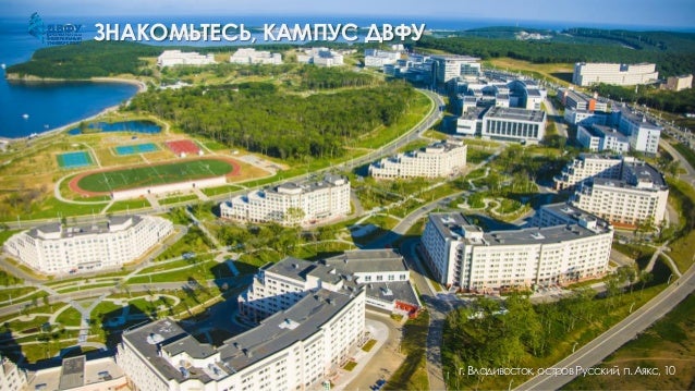 Идем на киев