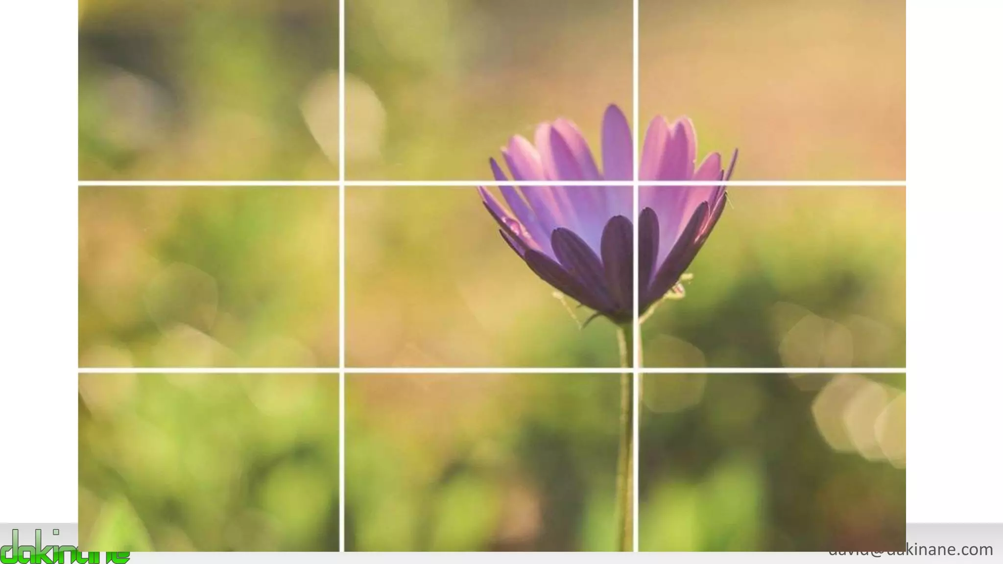 david@dakinane.com
Rule of thirds
 