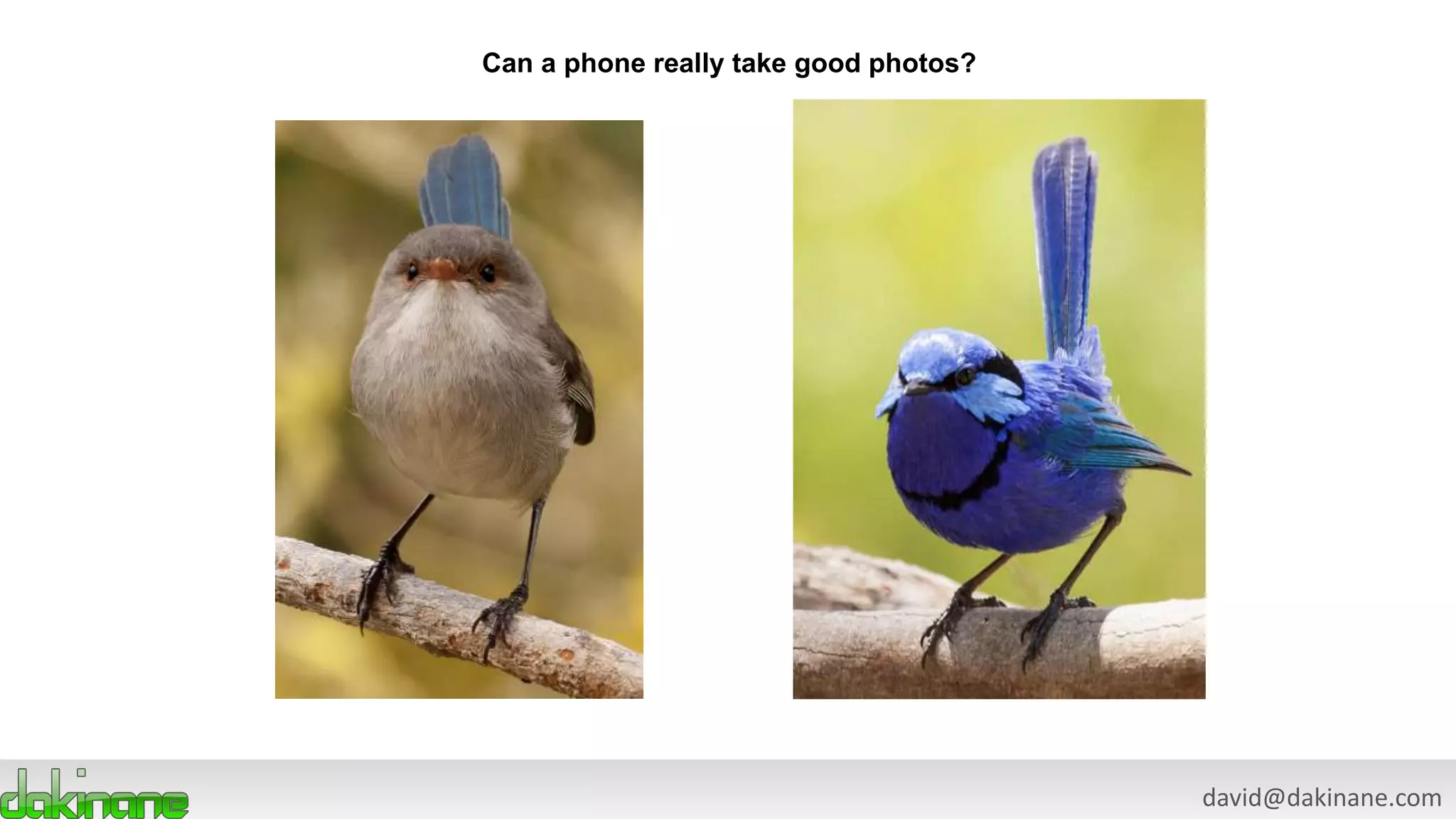 david@dakinane.com
Can a phone really take good photos?
 