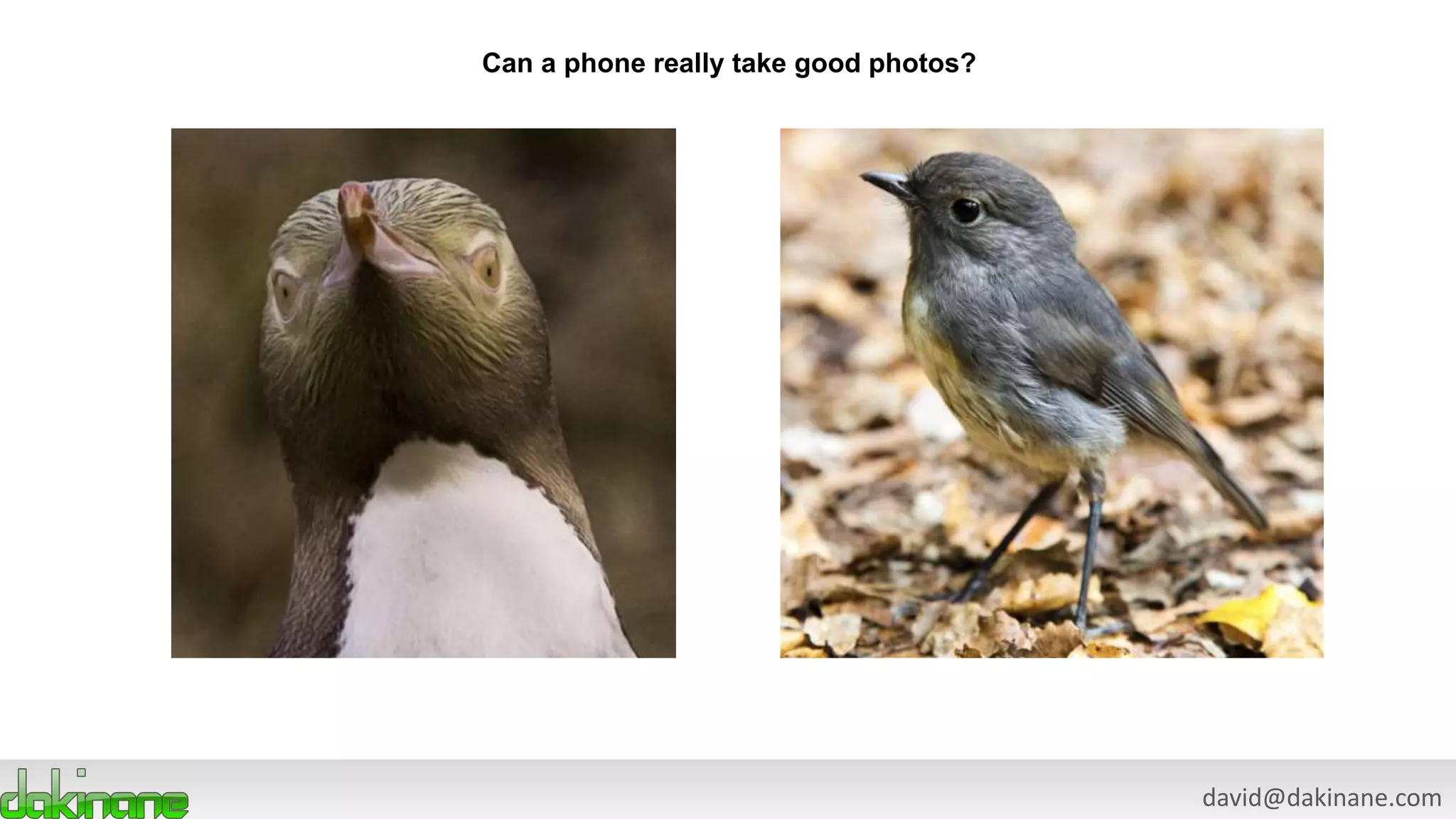 david@dakinane.com
Can a phone really take good photos?
 