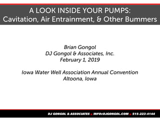 A LOOK INSIDE YOUR PUMPS:
Cavitation, Air Entrainment, & Other Bummers
Brian Gongol
DJ Gongol & Associates, Inc.
February 1, 2019
Iowa Water Well Association Annual Convention
Altoona, Iowa
 