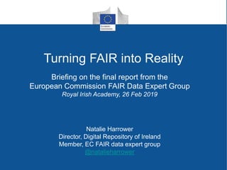 Turning FAIR into Reality
Briefing on the final report from the
European Commission FAIR Data Expert Group
Royal Irish Academy, 26 Feb 2019
Natalie Harrower
Director, Digital Repository of Ireland
Member, EC FAIR data expert group
@natalieharrower
 