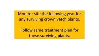 Kill Crown Vetch in 3 Steps | PPT