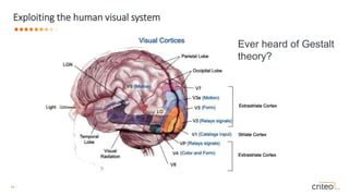 14 •
Exploiting the human visual system
Ever heard of Gestalt
theory?
 