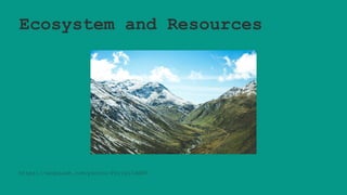 Ecosystem and Resources
https://unsplash.com/photos/FzrjgIId6NU
 