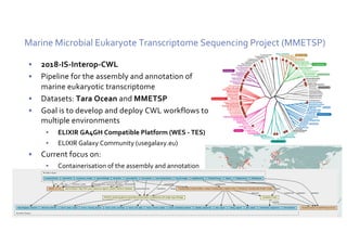 Marine Microbial Eukaryote Transcriptome Sequencing Project (MMETSP)
• 2018-IS-Interop-CWL
• Pipeline for the assembly and annotation of
marine eukaryotic transcriptome
• Datasets: Tara Ocean and MMETSP
• Goal is to develop and deploy CWL workflows to
multiple environments
• ELIXIR GA4GH Compatible Platform (WES - TES)
• ELIXIR Galaxy Community (usegalaxy.eu)
• Current focus on:
• Containerisation of the assembly and annotation
pipelines
• Galaxy – CWL Interoperability
• Ready for multi-site CWL execution
 